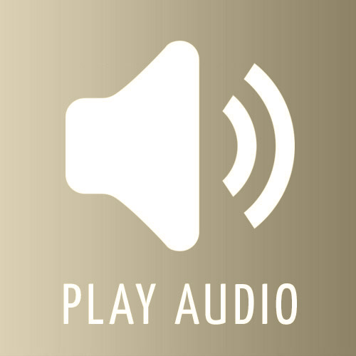 Play Audio